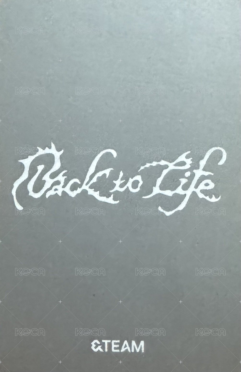 BTL 專輯卡 雙人卡 Maki&Nichlas 背面