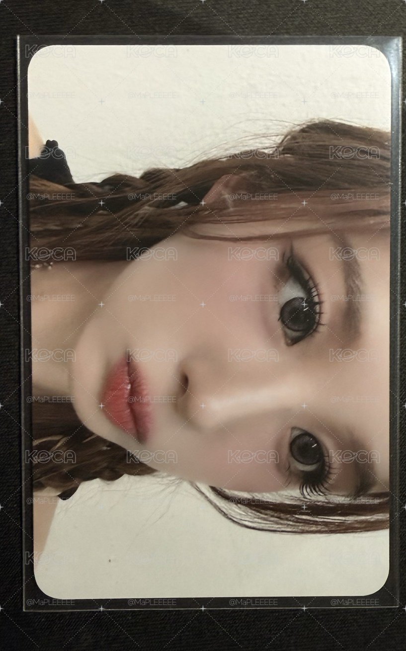 上海懟臉薛侖