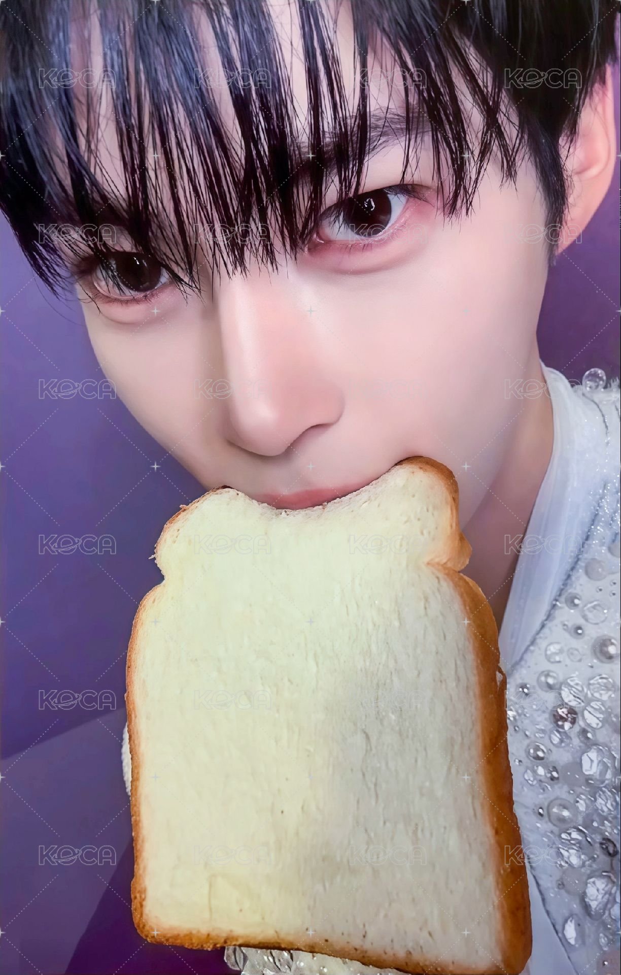 迷五 mp 特典卡 麵包ver. 正面