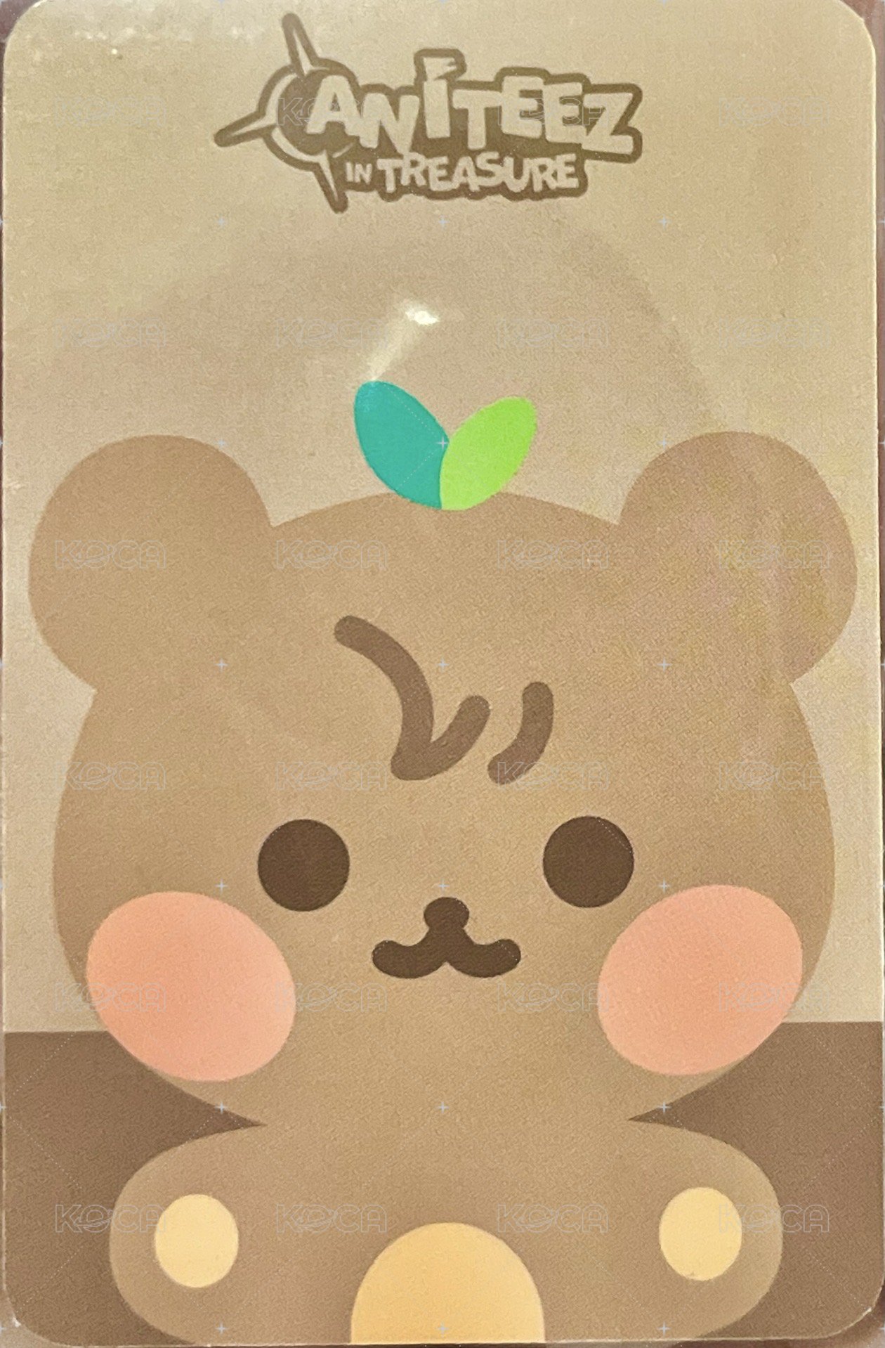 ANITEEZ IN TREASURE 周邊卡 FLAT FUR PLUSH 背面