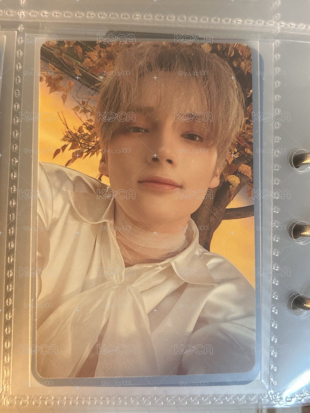迷六單封light 寧