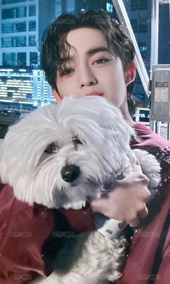 MINI10 入場卡 / 場限卡 ｜環球東京場限 正面