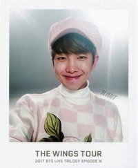 Wings Tour 周邊卡 卡冊卡