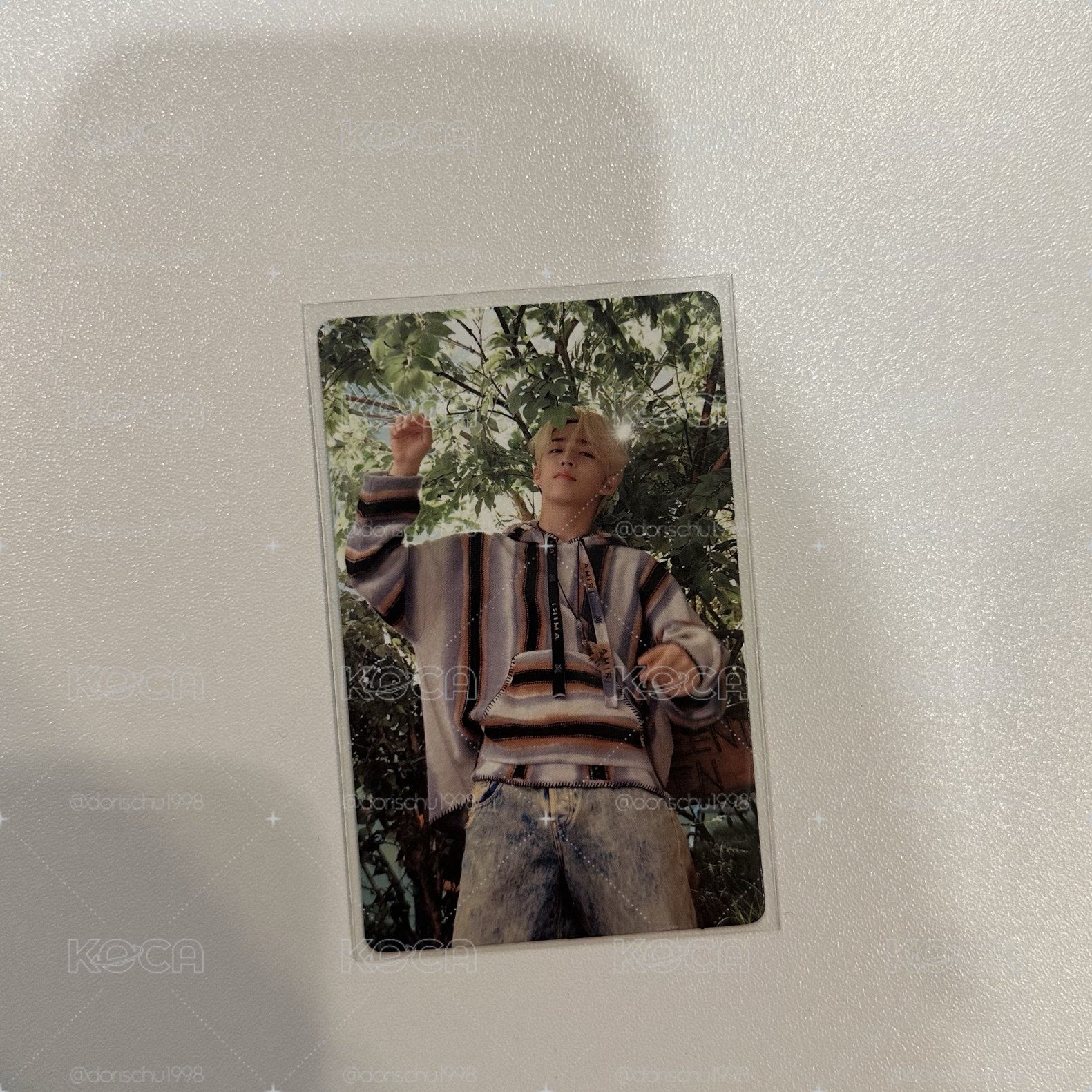 迷11WVS特典-哲