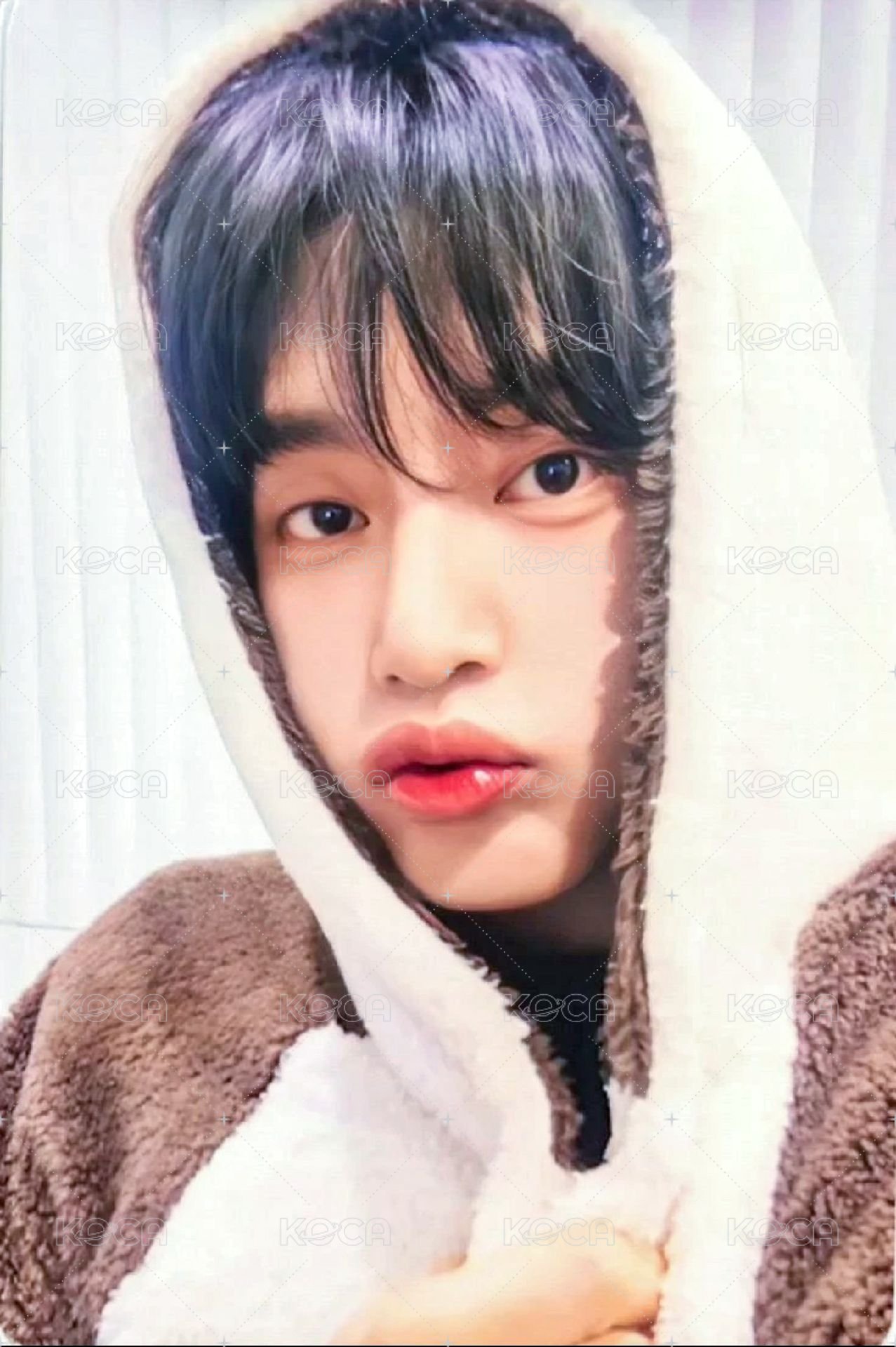 迷五 ms 1.0 簽售卡 動物睡衣 ver. 正面