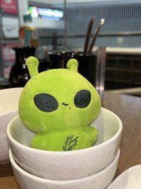 阿月（多收可議價