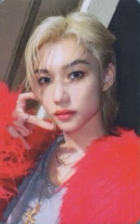 5-STAR Bandina 特典卡 