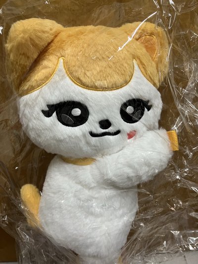 MINIVE SCHOOL 40cm抱抱娃包Liz 含卡