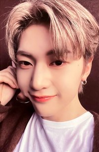 迷二 k4 特典卡 用餐禮儀 ver.