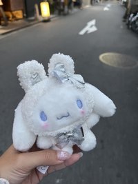 Fanfan（見過寧藝卓版）