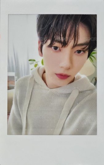 2024 DREAM WEEK 隨機卡 拍立得 正面