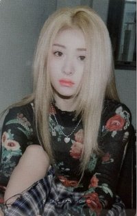 ANTIFRAGILE k4 預售 特典卡 透卡