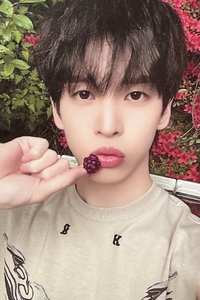 DtC 專輯卡 MD ver.