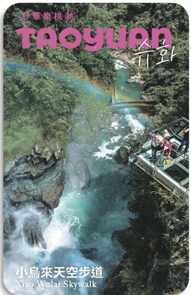 代言卡 桃園觀光代言卡 背面