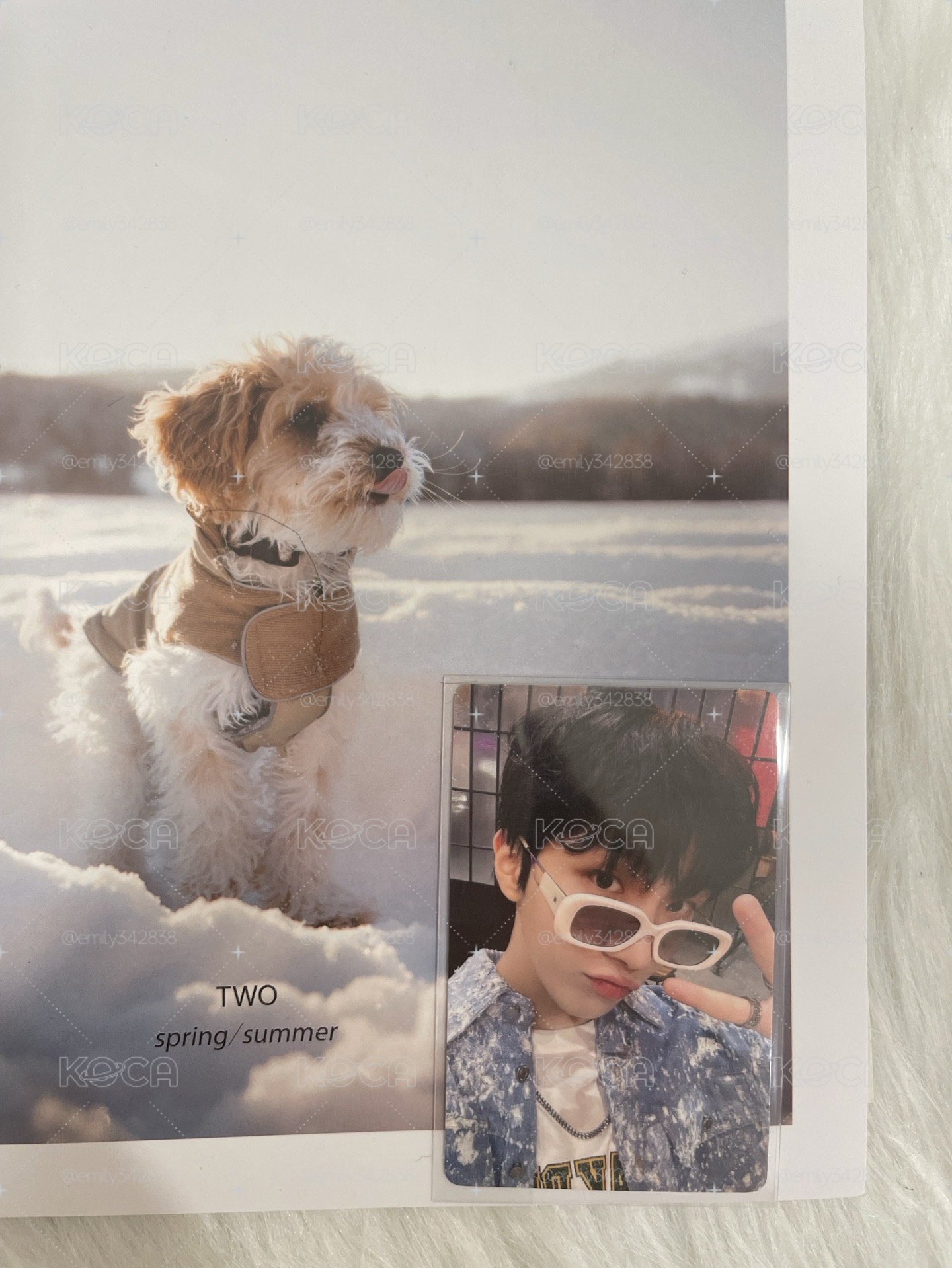 【BND】🧸yzy3.0