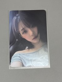 冬