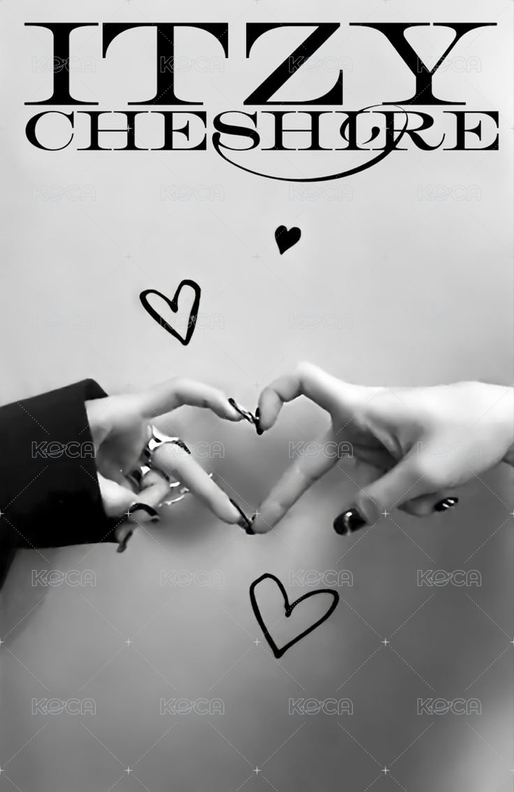 CHESHIRE 專輯卡 雙人卡 背面