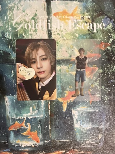 BOYLIFE 單封全專