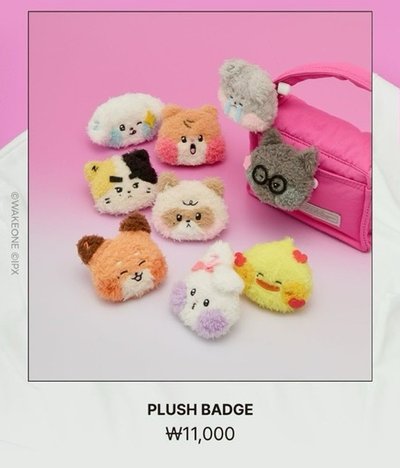 ZB1 Zeroni home party