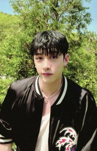 MAXIDENT target 特典卡 