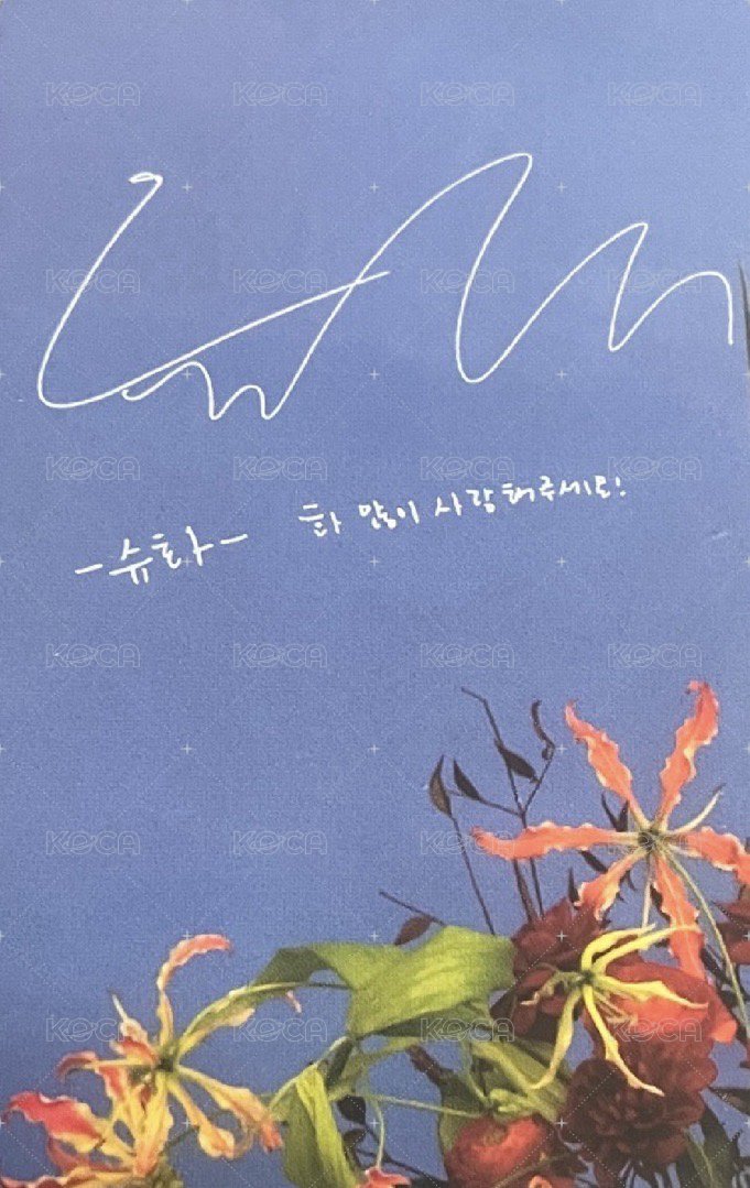 I BURN 專輯卡 花版專卡-刷 背面