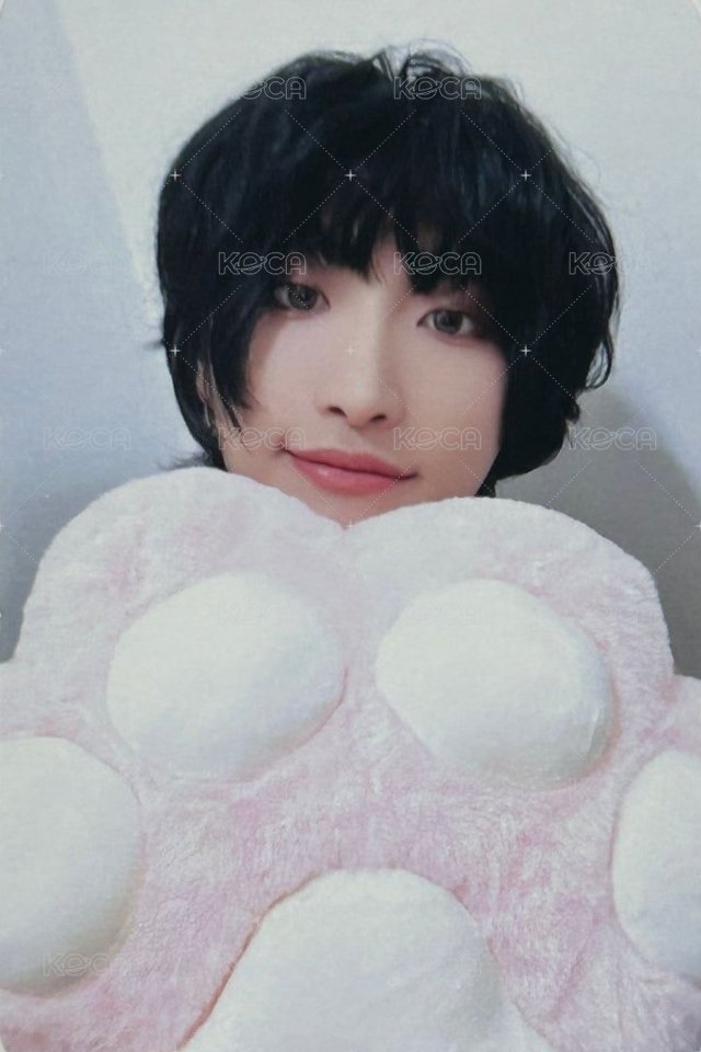 GH1 TOKTOQ 特典卡  正面