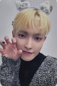 Will mokket 幸運卡 貓咪 ver.