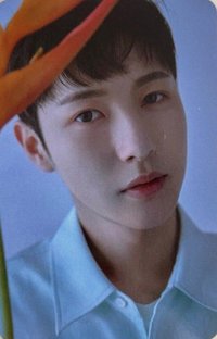 洗衣房 隨機卡 卡包卡 二期 官拍