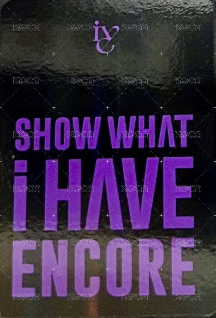 SHOW WHAT I HAVE 演唱會 DVD / CD 卡 ENCORE KiT 固配安 背面