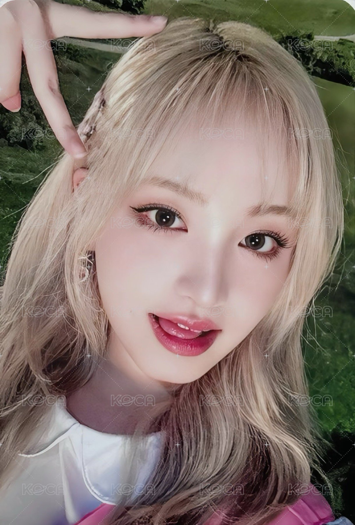 三期會員 會員禮卡  正面