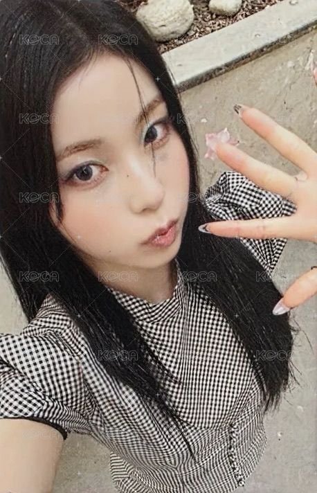 正規一 am 預售 特典卡 PB 正面