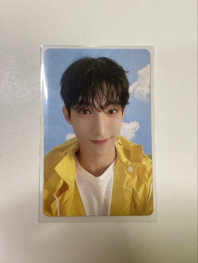 碩 迷十一克拉盤