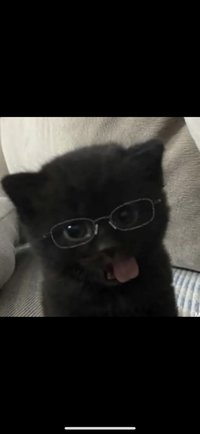 ㅇㅇ