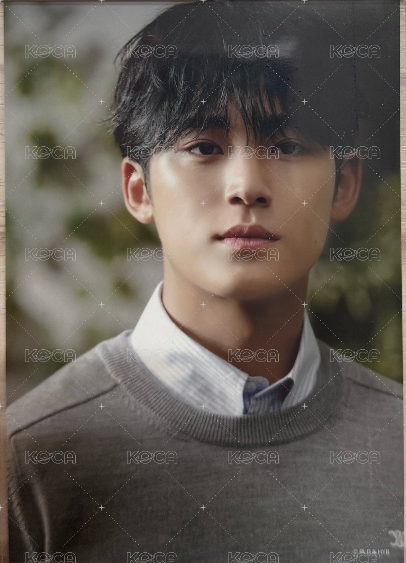 消費期限 生寫真  正面