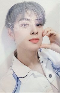 正二 ms 1.0 簽售卡 