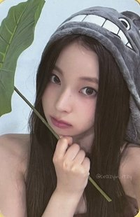 仲夏夜 el 線下 1.0 簽售卡 龍貓