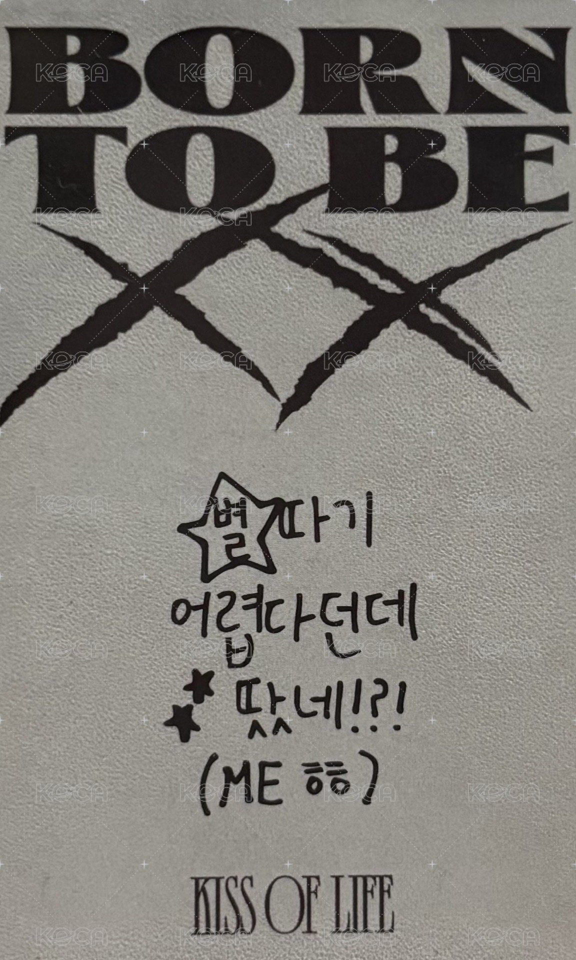 Born to be XX 專輯卡  背面