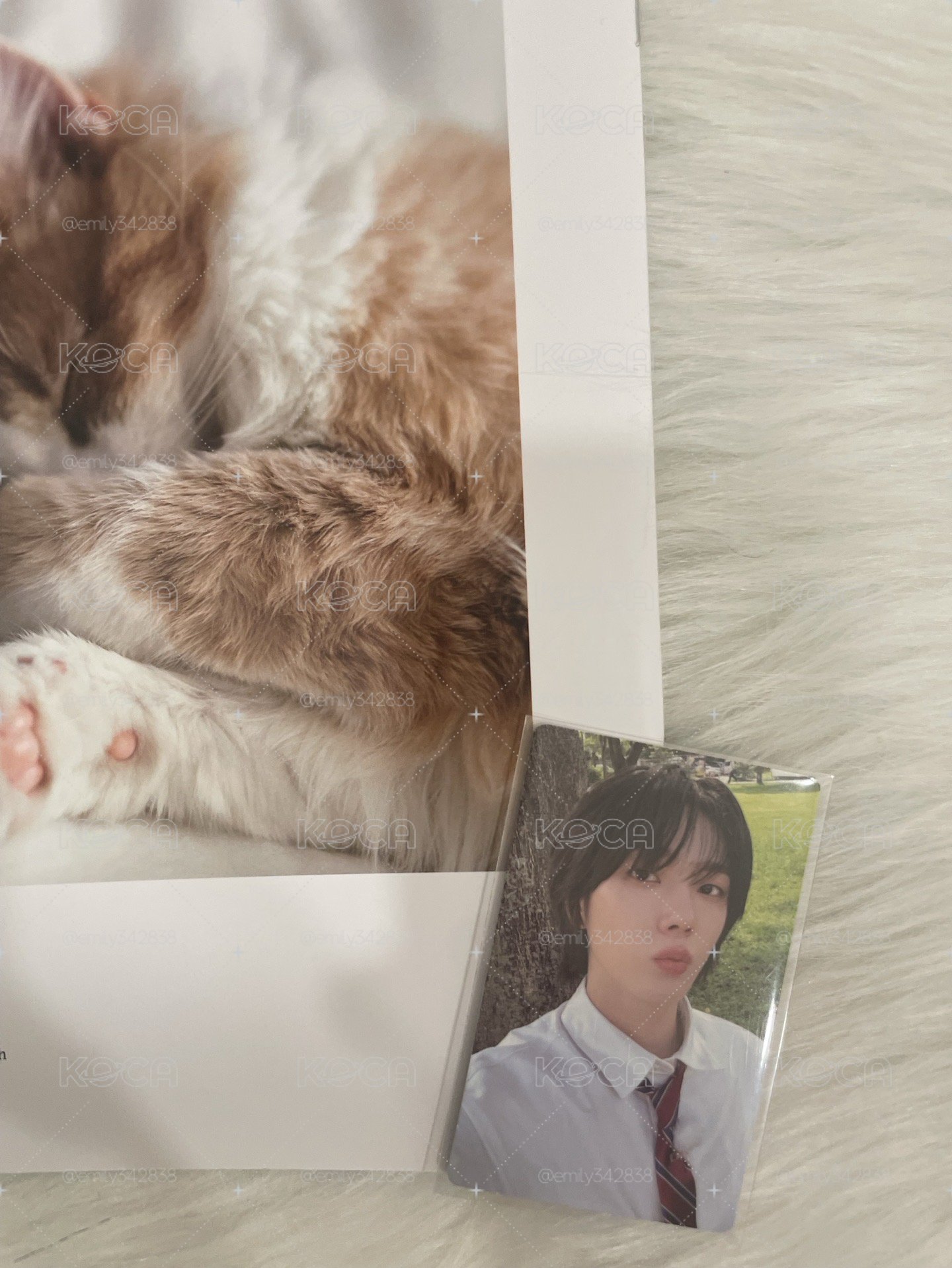【BND】🐈校服卡