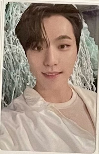 DINO｜韓專卡 ｜Mini7/Mini12/正四/正四續/精選專