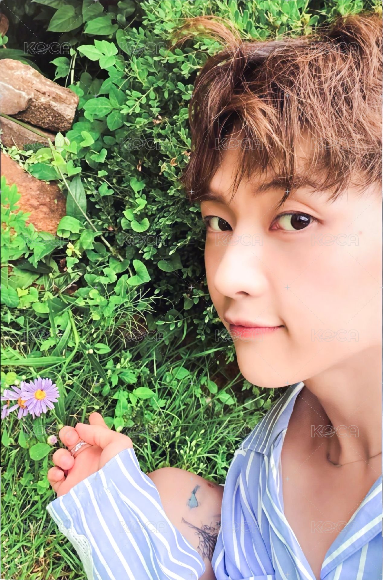 迷四 專輯卡 ZEROSE ver. 正面