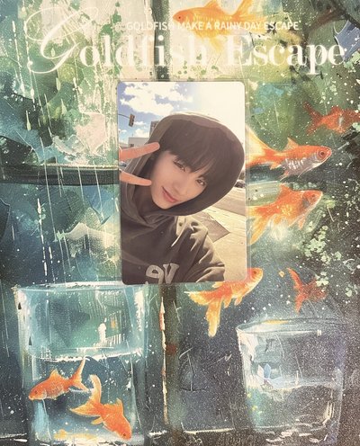 泰山 WHO m2u2.0幸運卡