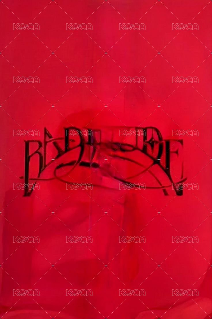 BADITUDE k4 1.0 簽售卡  背面