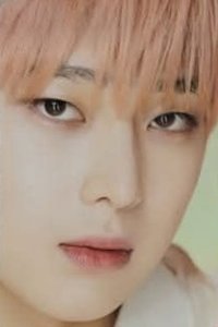 22年D社 雜誌卡 卡冊卡