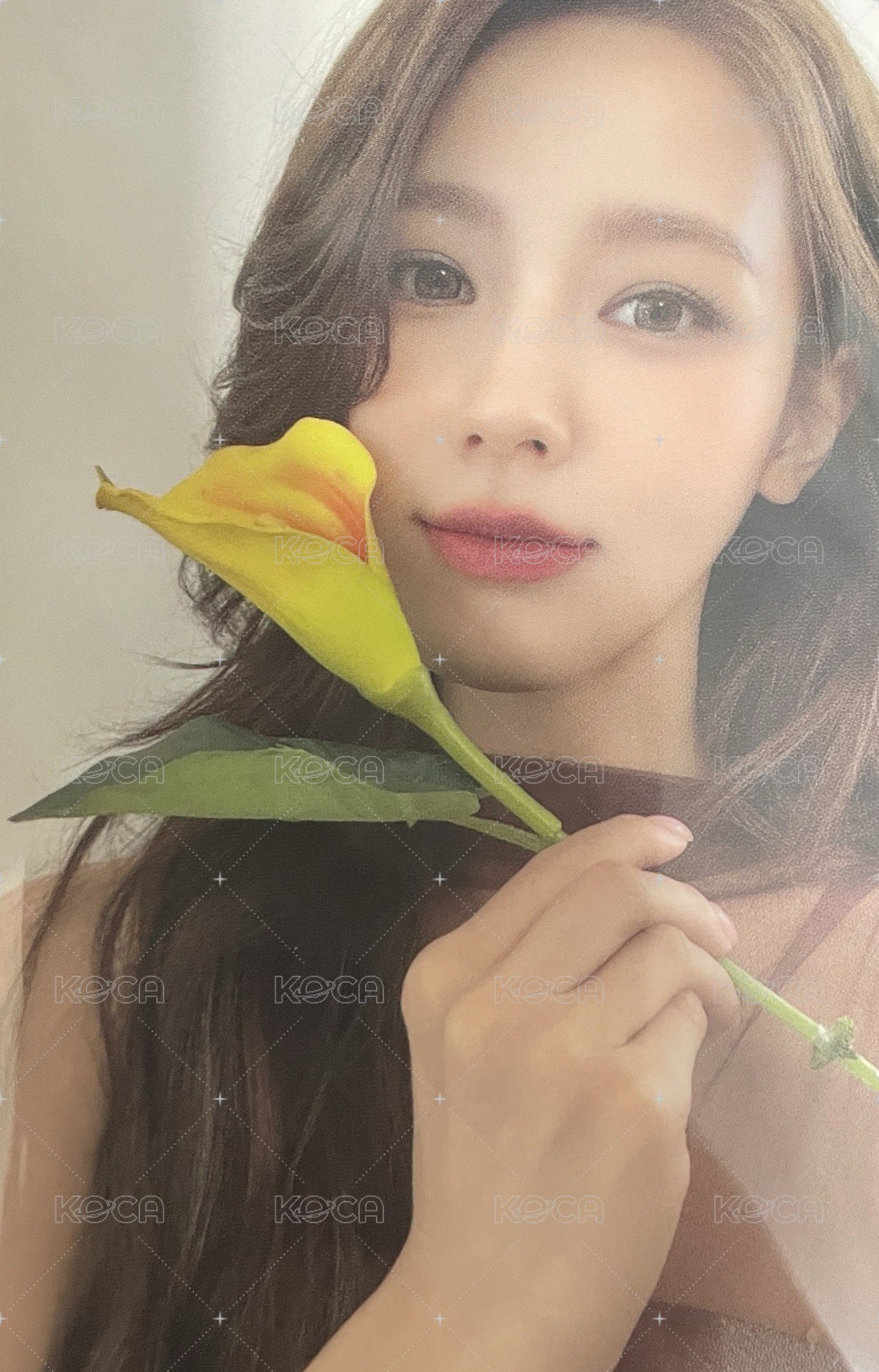 雜誌卡 呈仕雜誌卡 正面