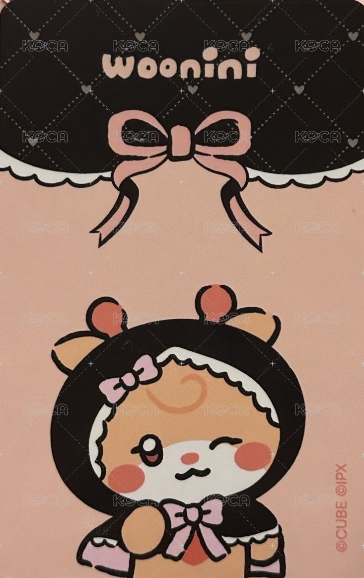 We are 隨機卡 拿娃琦 背面