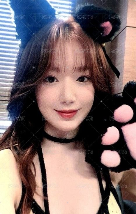 正規二 ms 16.0 簽售卡 貓爪刷 正面