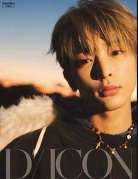 DICON 寫真集 Real and Rare_B版