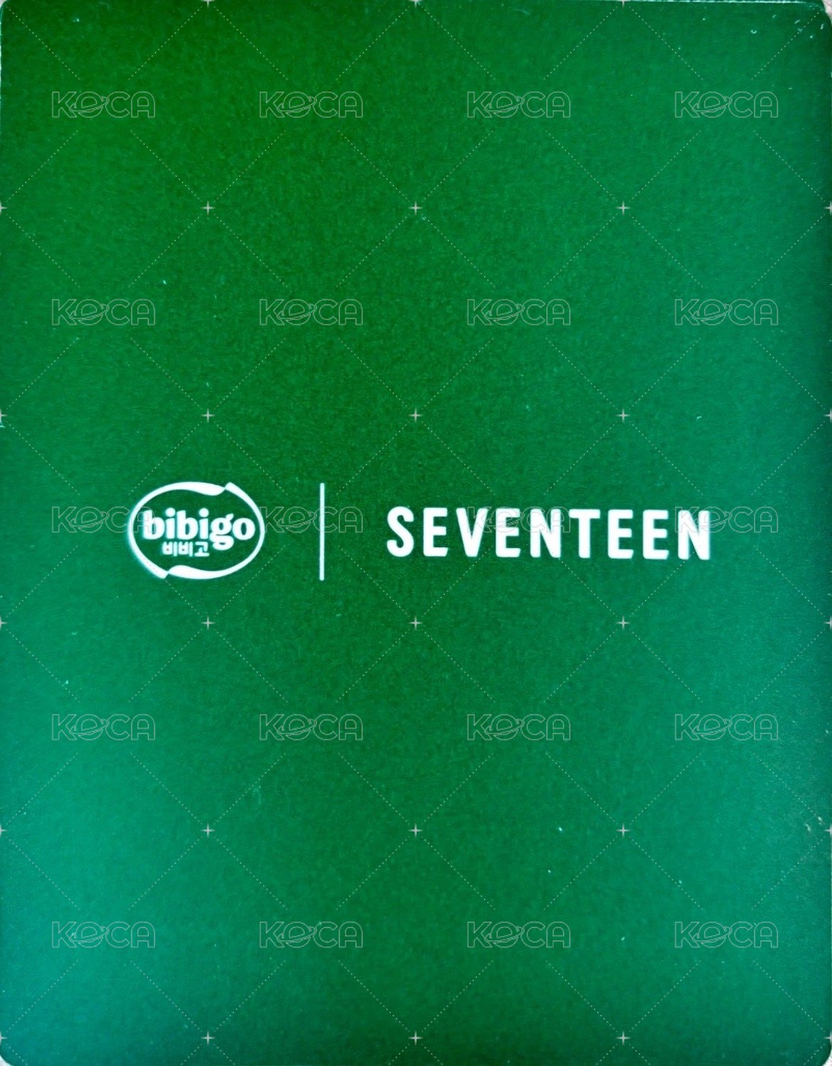 代言 代言卡 BIBIGO代言卡 背面