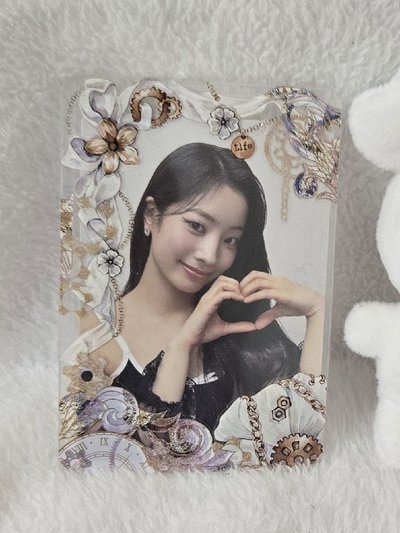 多賢 小卡&徽章套SET