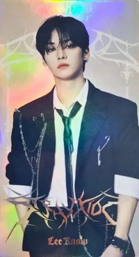 3rd 世巡 B版 隨機卡 大卡組